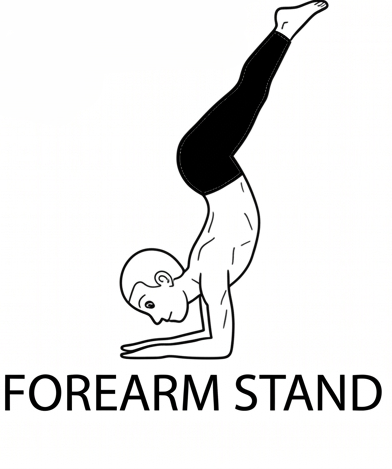 Visual sketch of Forearm Stand (Pincha Mayurasana)